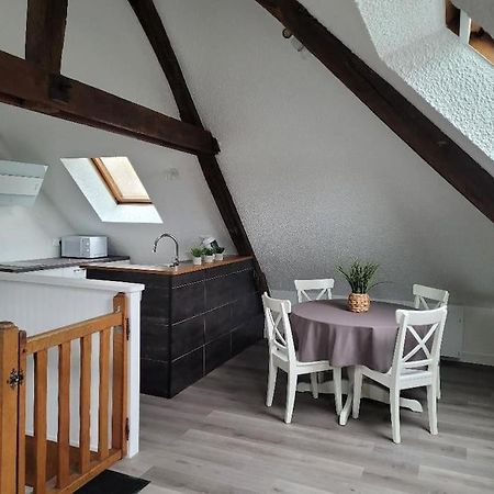 Appartement Avec Vue Sur Loire Blois Dış mekan fotoğraf