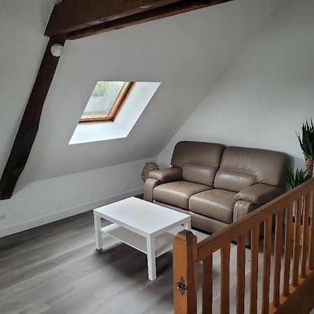 Appartement Avec Vue Sur Loire Blois Dış mekan fotoğraf