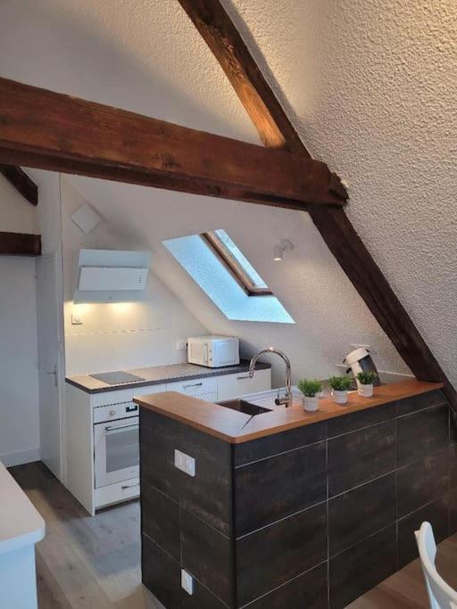 Appartement Avec Vue Sur Loire Blois Dış mekan fotoğraf