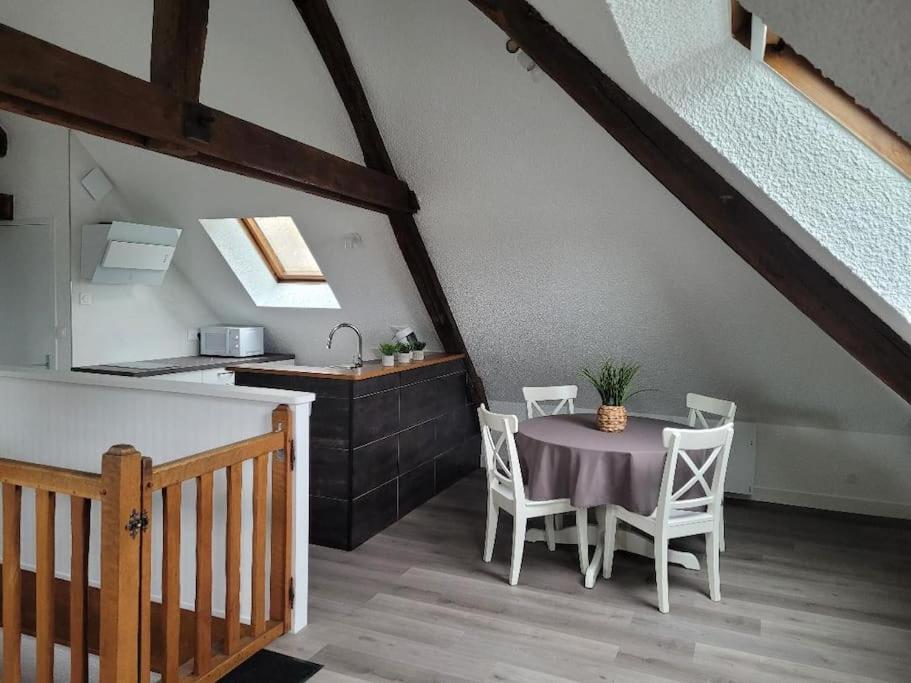 Appartement Avec Vue Sur Loire Blois Dış mekan fotoğraf