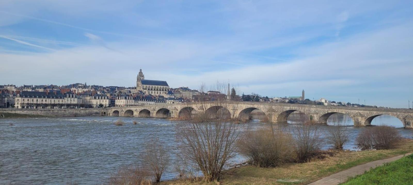 Appartement Avec Vue Sur Loire Blois Dış mekan fotoğraf